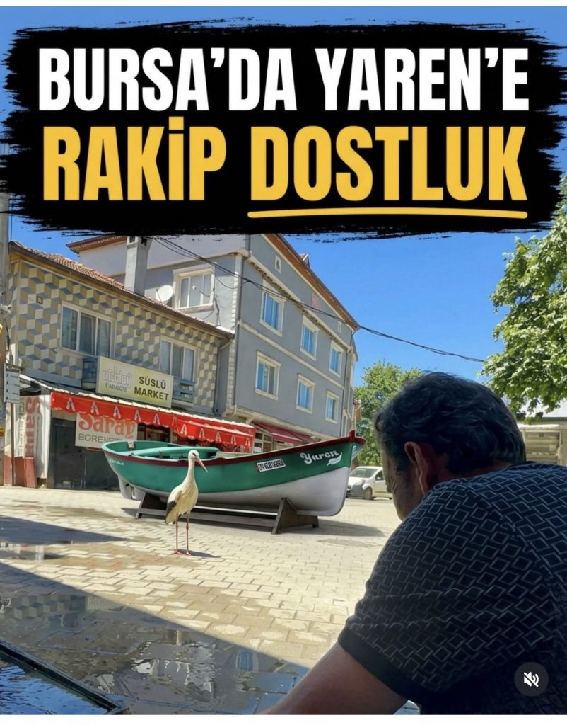 Alper Tüydeş’ten Medyaya "Leylek Yarışı" Tepkisi: "Bu Bir Rekabet Değil, Doğa Sevgisi!"