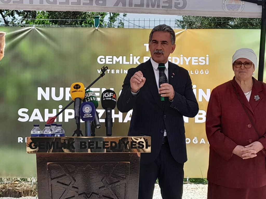 Gemlik’te Sahipsiz Canlara 15 Dönümlük Modern Yuva: Kurtul’da Tarihi Açılış!