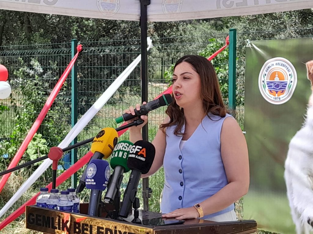 Gemlik’te Sahipsiz Canlara 15 Dönümlük Modern Yuva: Kurtul’da Tarihi Açılış!