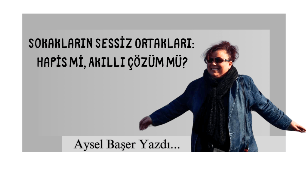 Sokakların Sessiz Ortakları: Hapis mi, Akıllı Çözüm mü?