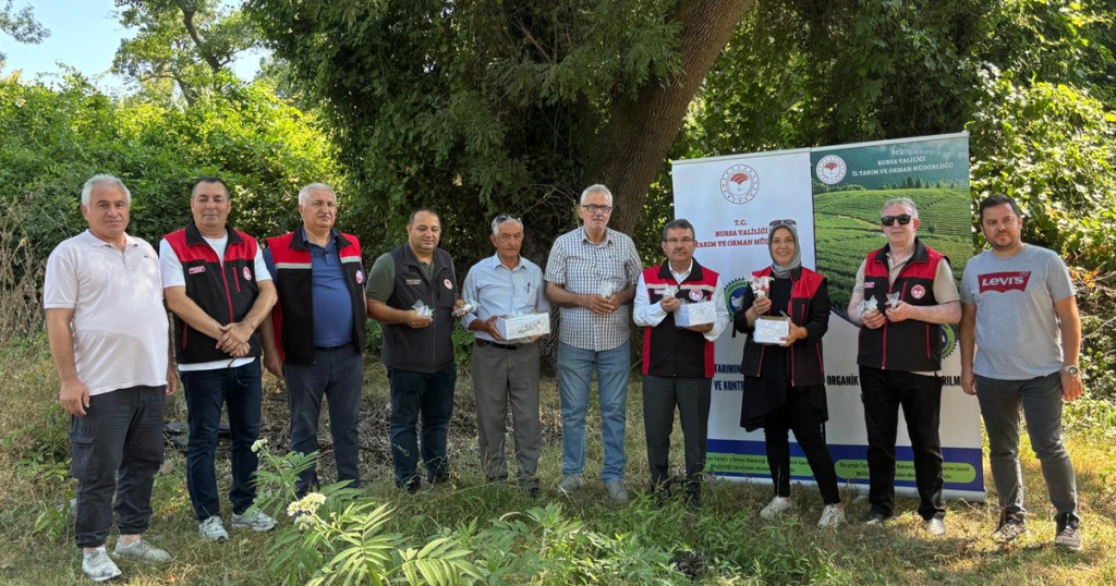 Bursa’da 5 bin Samuray Arısı doğaya salındı