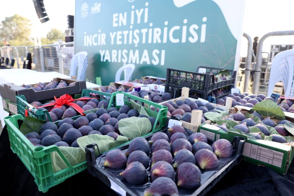 12. Akçalar Fadıllı İncir Festivali 13 Eylül’de Kapılarını Açıyor
