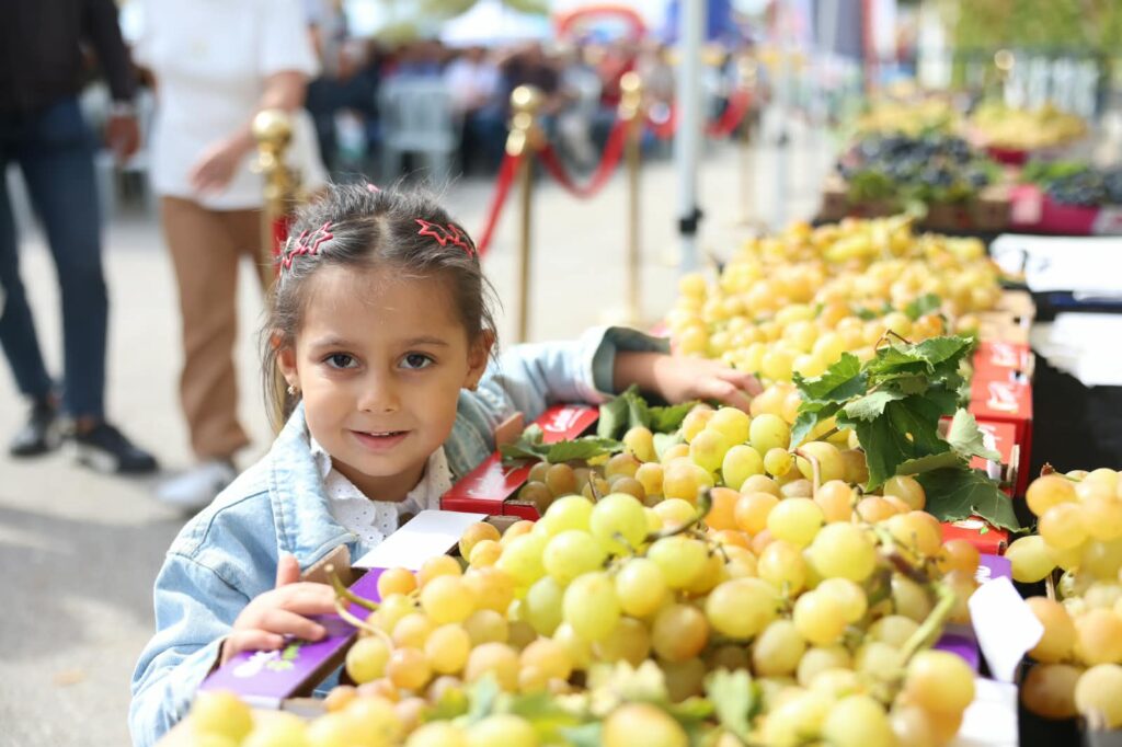 Osmangazi Belediyesi Karabalçık Üzüm Festivali İle Üreticileri Buluşturdu