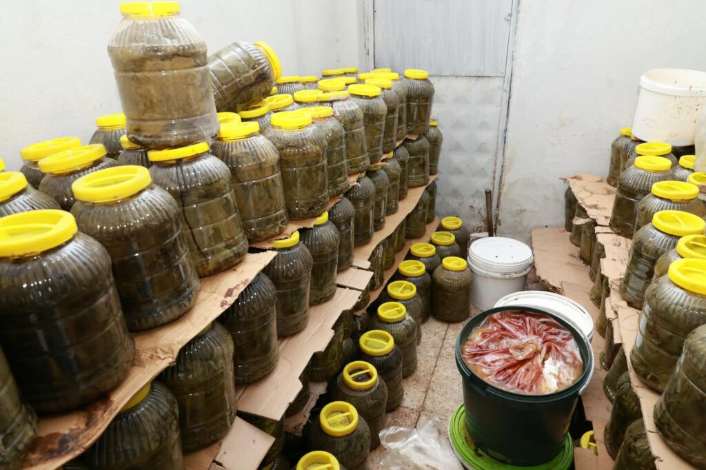 Osmangazi’de Zabıtadan Dev Operasyon: 6,5 Ton Küflü Gıda Ele Geçirildi